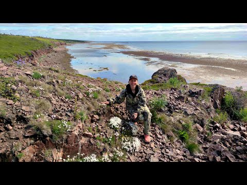 Видео: Насыщенная но бестолковая Варзуга 23 (Кузомень)