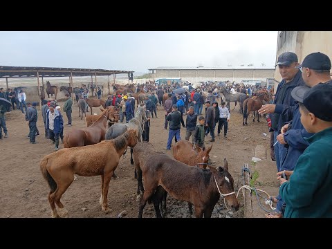 Видео: АСП БОЗОРИ ЛЕНИСКИ РАЁН АСПИ ФУРИШИ ТЕЛ 902213191