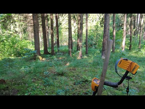Видео: Поиск сокровищ в лесу на древней дороге. Поиск с металлоискателем. Часть 1
