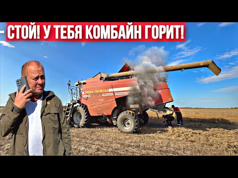 Видео: КАК ЛЁН ЧУТЬ НЕ ЛИШИЛ ФЕРМЕРА 2-Х КОМБАЙНОВ!