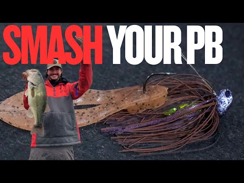 Видео: 3 ОСНОВНЫХ ВЕЩИ ДЛЯ ДЖИГ-ЛОВЛИ ПОЗДНЕЙ ОСНЫ (ЛОВЛЯ ГИГАНТОВ)