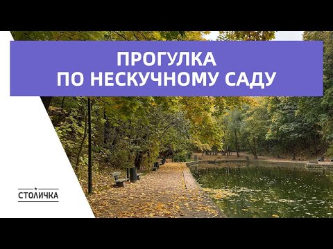 Видео: Прогулка по осеннему Нескучному саду | Москва | Moscow walk 4K 60 fps ASMR 2024