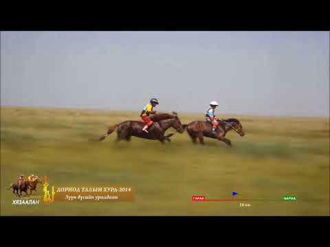 Видео: Дорнод Талын хурд Зүүн бүсийн наадам 2014 Хязаалан