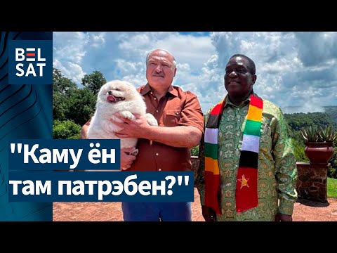 Видео: 🔴 Лукашенко орёт на чиновников и требует 1 млрд долларов экспорта в Африку: а реально? / Белсат