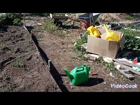 Видео: Продолжаем работы на огороде