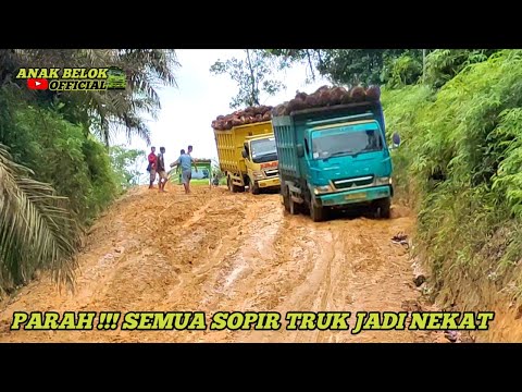Видео: Внедорожные трассы заставляют всех водителей грузовиков бросить вызов смерти