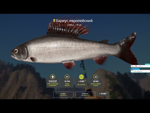 Видео: ✅ОХОТА НА ТРОФЕЙ✅ Russian Fishing 4✅