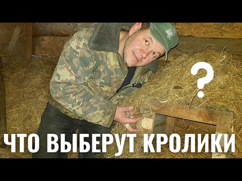 Видео: Старожилам 30 дней. Делаем домики для крольчат.