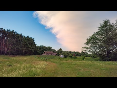 Видео: Шостка .Звуки природи🌳🌊🐦‍⬛Біля Лазарівки 📽️