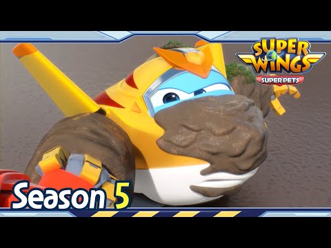 Видео: Рок-н-тролль | Супер крылья 5 сезон | Супер крылья супер домашние животные