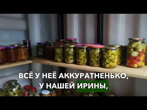 Видео: Обзор погреба Тингард через несколько месяцев после установки