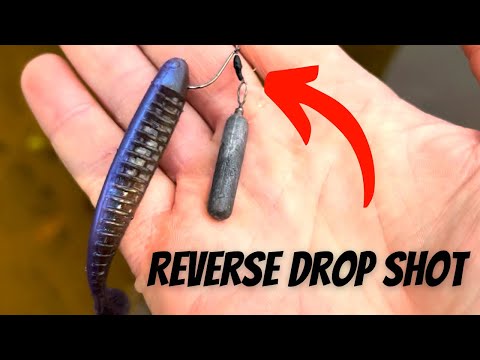 Видео: Удивительная обратная плавающая оснастка для дроп-шота!