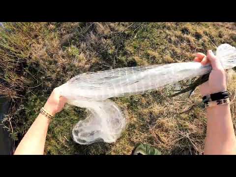 Видео: Упоительная рыбалка кастинговой сеткой 6м, с большим кольцом. На жарёху наловил! Сетка, просто 🔥!!!