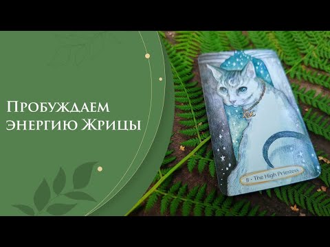 Видео: Пробуждаем энергию Жрицы 