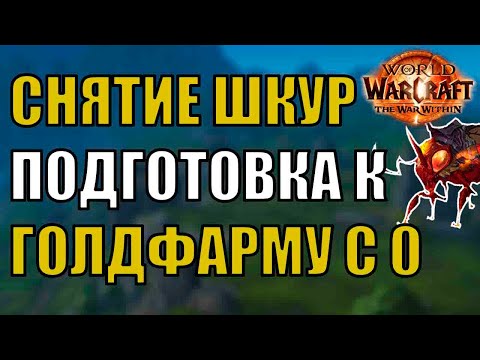 Видео: КАК ЗАРАБОТАТЬ ЗОЛОТО СНЯТИЕ ШКУР? ПРАВИЛЬНАЯ ПОДГОТОВКА! TWW 11.1.7