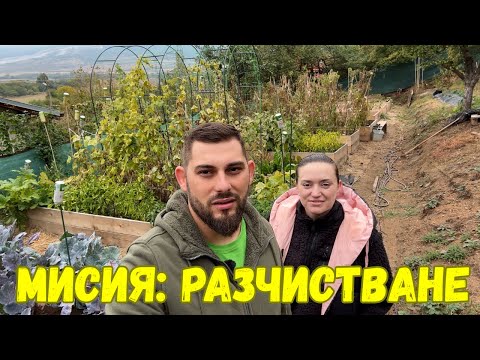 Видео: Какво се случва в градината след края на сезона?