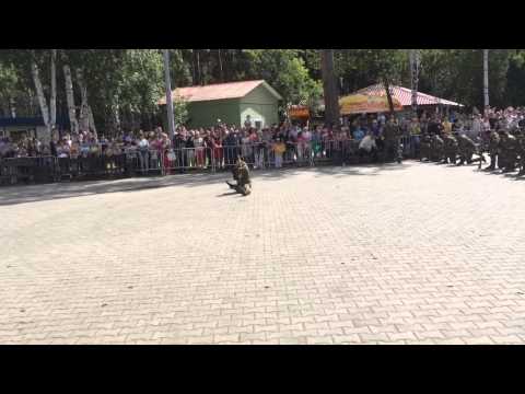 Видео: Свердловский ОМОН на марше