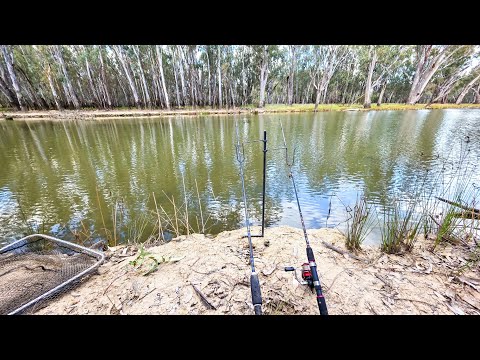 Видео: Ловля наживки в заводи Бундалонга