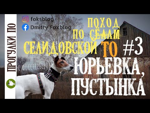Видео: Поход по селам Селидовской ТО#3 Суп у костра Шашлык в лаваше Юрьевка Пустынка