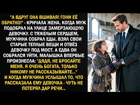 Видео: "А вдруг она вшивая! Гони её обратно!" - кричала жена, когда муж подобрал на улице замерзающую...