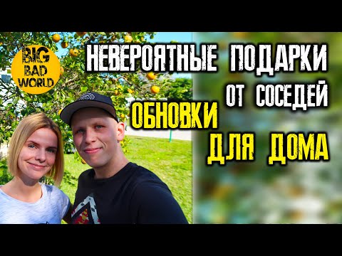 Видео: Заказали кучу камней и земли. Американские соседи снова удивили.