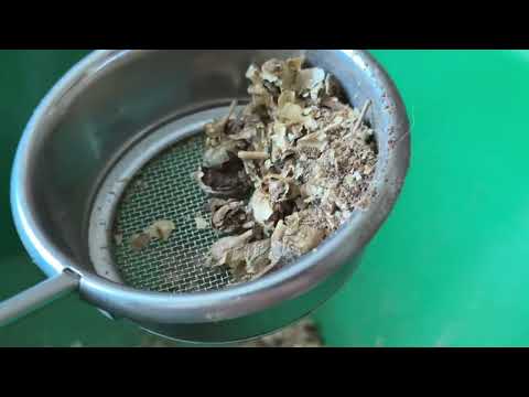 Видео: Переработка семян Табака 