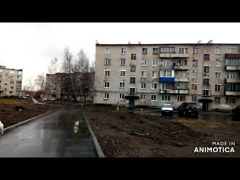 Видео: Природа и пос. Таёжный, Хабаровский край, Комсомольск на Амуре.