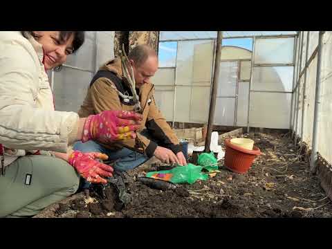 Видео: готовлю ПРОСТОЙ ОБЕД//добрались до САДА//очень ВСЕ ДОРОГО в этом магазине
