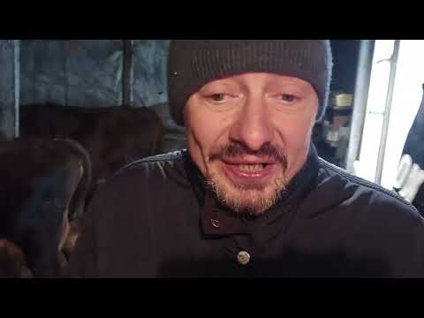 Видео: Игровая тема. Дед...