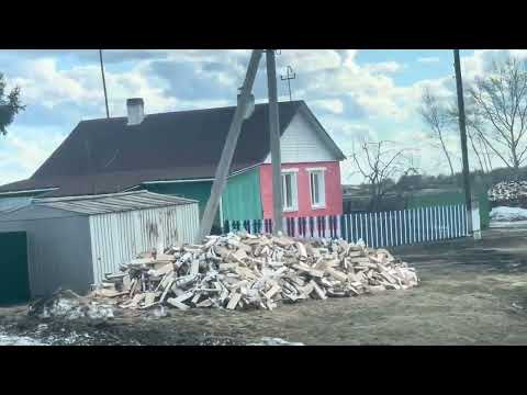 Видео: Главе Муромцевского р-на СПАСИБО🙏 Камышино-Курское — село Омской области  2024 г 🇷🇺
