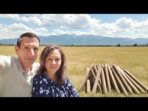 Видео: Какво се случи с краставиците ни?! 🥒 | Есен в селската градина и премахване на конструкцията им