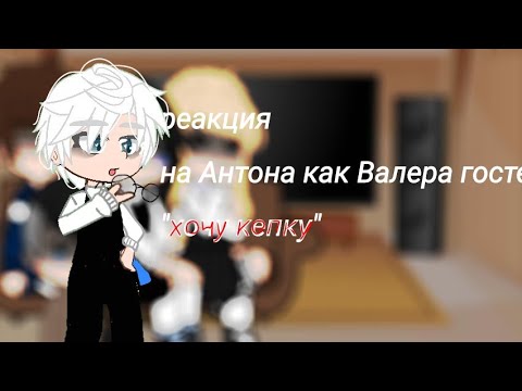 Видео: реакция tine bunny на Антона как Валера гостер"хочу кепку"