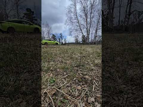 Видео: Prius 50 51 52 55 тухай