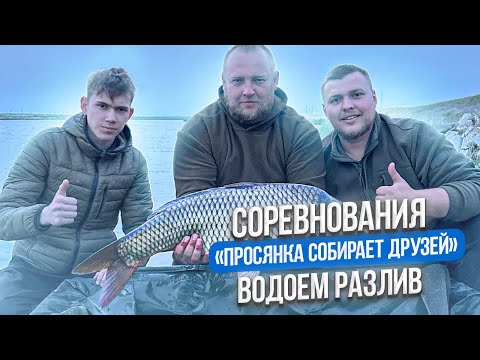 Видео: Соревнования «Просянка собирает друзей» | Водоем Разлив | Карпфишинг