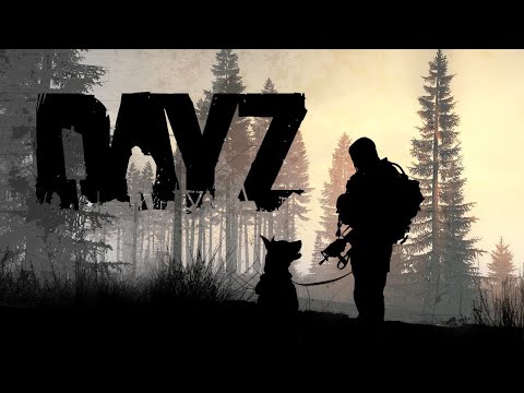 Видео: ✔ВАЙП в Дейз! ОБУСТРОЙСТВО БАЗЫ! Dayz PVP! REARMED #stalker #сталкер