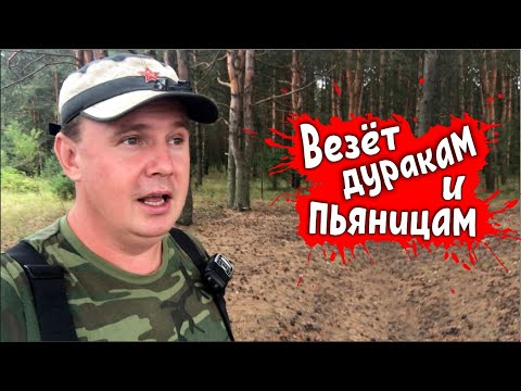 Видео: Проверяем примету - напились и копаем  / Лесные Копатели