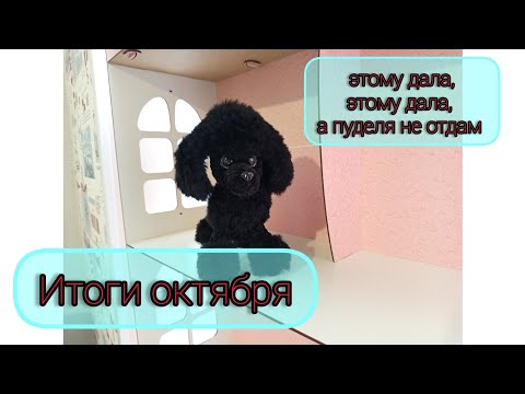 Видео: Итоги октября/ Новый марафон/ Продажи из наличия/ Домик для игрушек 