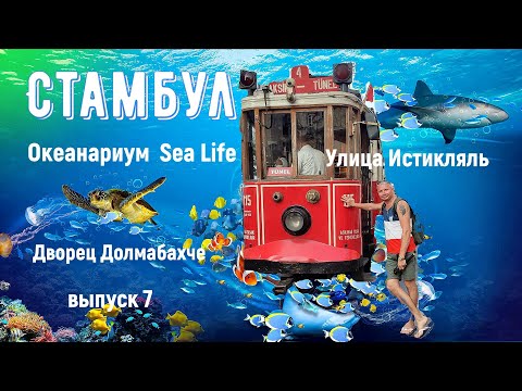 Видео: стамбул выпуск 7.Океанариум Sea Life. Дворец  Долмабахче. Улица Истикляль.