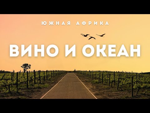 Видео: ЮАР, винодельни и пляж у океана | Stellenbosch и Knysna