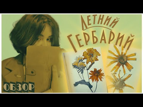 Видео: КАК СОБИРАТЬ ГЕРБАРИЙ?ОБЗОР летнего ГЕРБАРИЯ