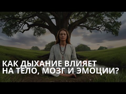 Видео: Как дыхание влияет на тело, мозг и эмоции?