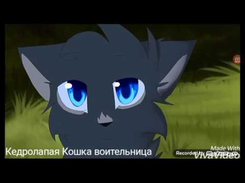 Видео: Коты воители: Синяя Звезда и Желудь - А в ее сердце тук тук тук стучит...