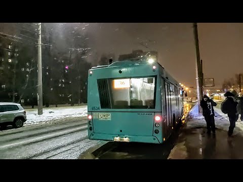 Видео: Автобус, маршрут №36 МАЗ-203.016 б.8534 (06.02.2022) Санкт-Петербург