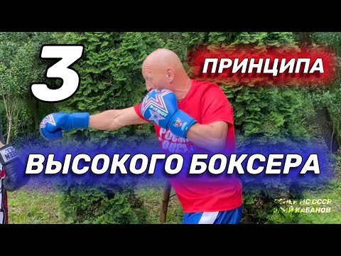 Видео: Три принципа высокого боксера. Тактика, дистанция, клинч.