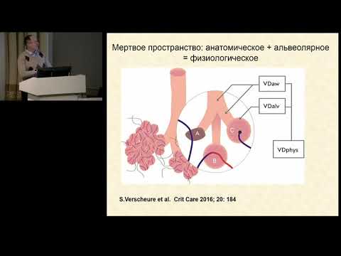 Видео: ИВЛ и капнография  САТИШУР О.Е.