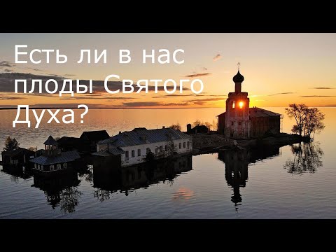 Видео: Есть ли в нас плоды Святого Духа?..