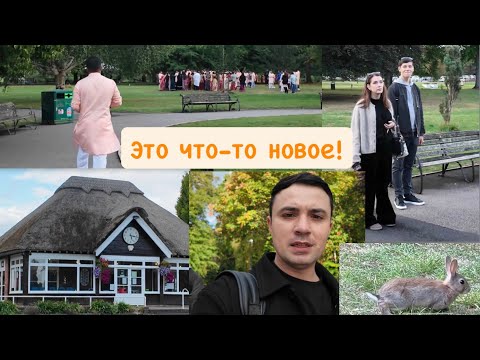 Видео: Уорик, уезжаем, Необычные крыши и Зайцы