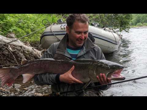 Видео: Сахалинский таймень пойман на сербский воблер от мастера Никола Косич