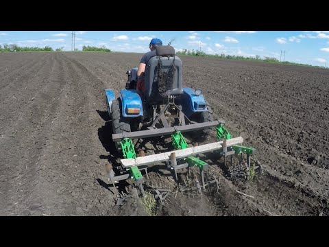 Видео: Испытания ЕЖЕЙ для прополки картофеля. Культиватор BOMET в работе!