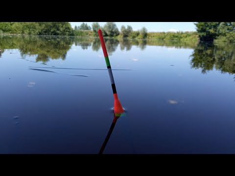 Видео: БІЛЯ ЯМИ ЗБИЛАСЯ ВСЯ ВЕЛИКА РИБА. Рибалка на поплавок